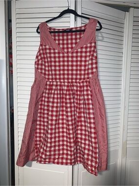 ASOS Plus Size Women’s Gingham Fit & Flare Dress